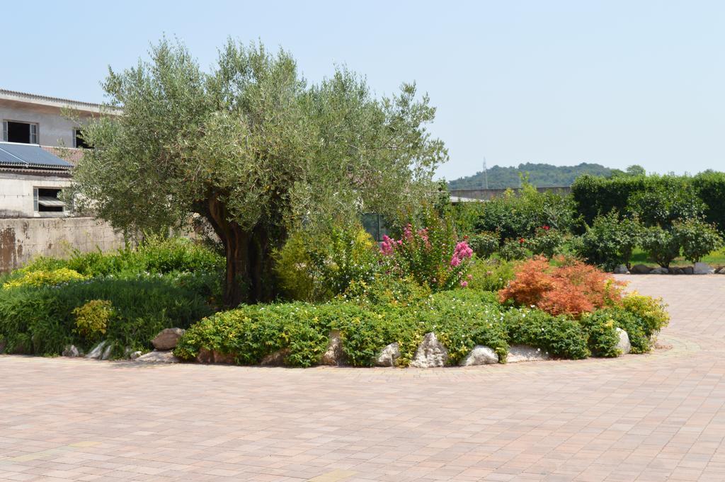 Agriturismo Ca' Del Gal Valeggio sul Mincio Exterior photo