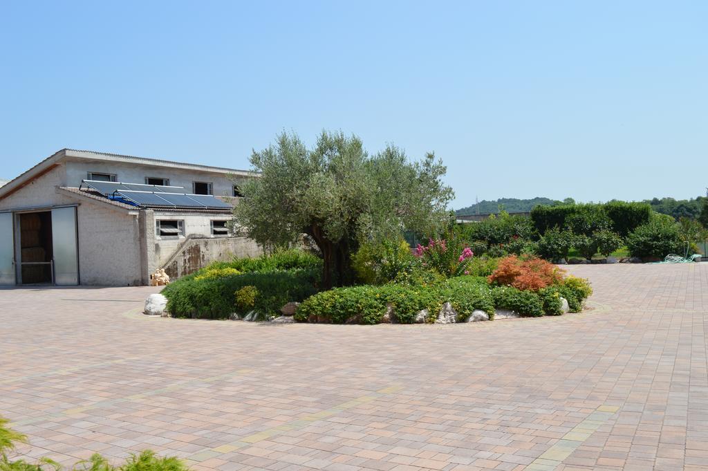 Agriturismo Ca' Del Gal Valeggio sul Mincio Exterior photo